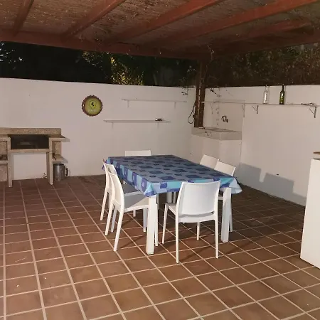 Palomayor